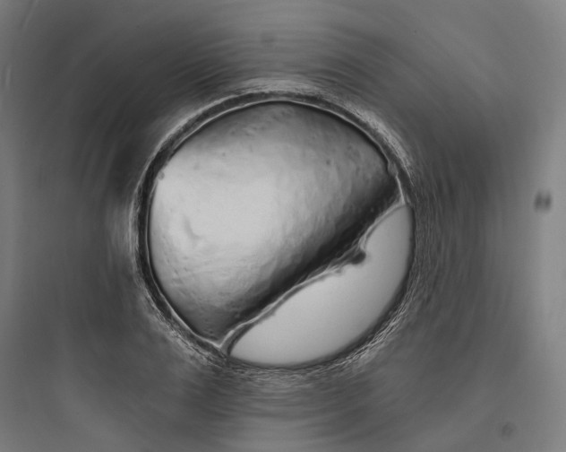 X0000093760983200711061107