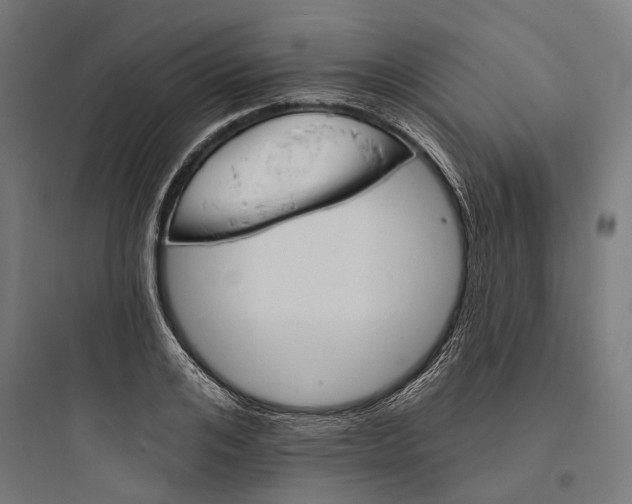 X0000093760984200711061107