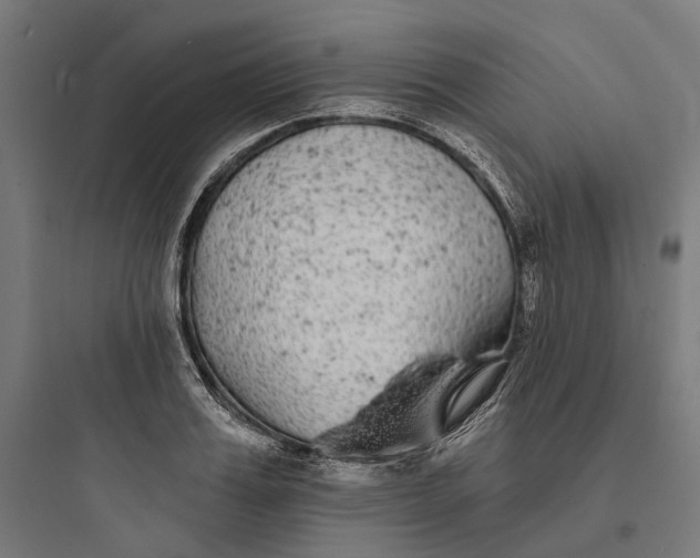 X0000093760987200711061107