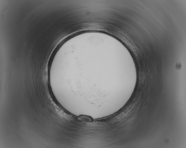 X0000093760988200711061107