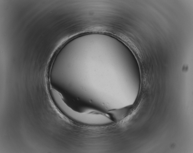 X0000093760989200711061107