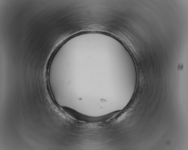 X0000093760990200711061107