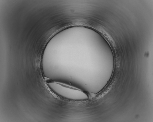 X0000093760993200711061107