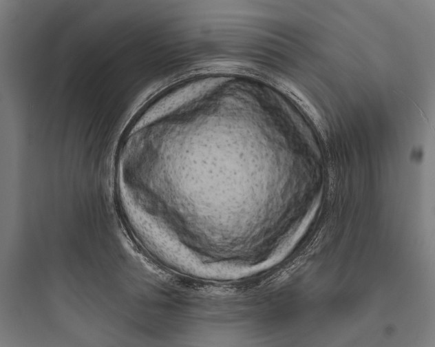 X0000093760994200711061107