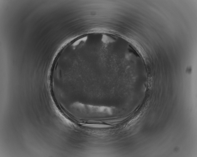 X0000093760995200711061106