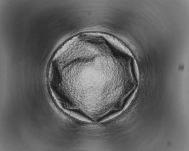 X0000093760998200711061106