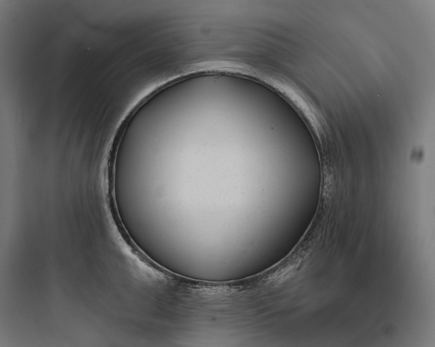 X0000093760999200711061106