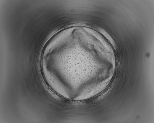 X0000093761002200711061106