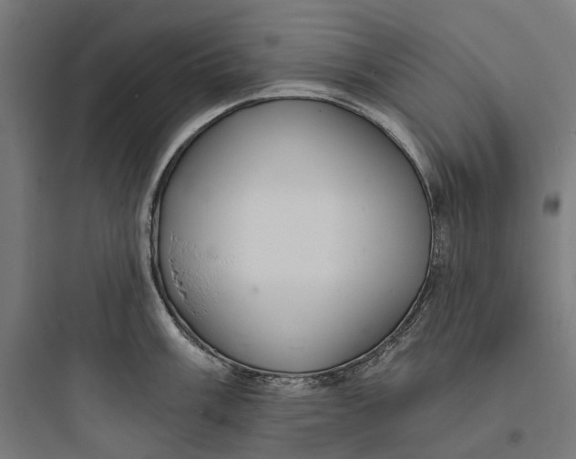 X0000093761003200711061106