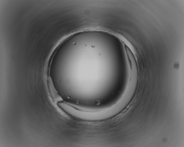 X0000093761005200711061106