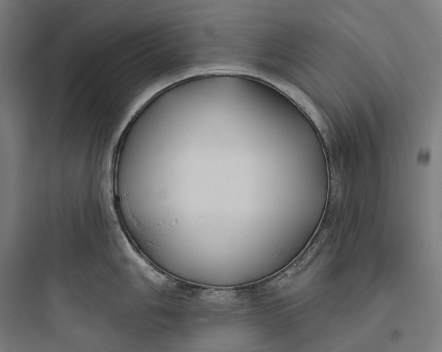 X0000093761006200711061106