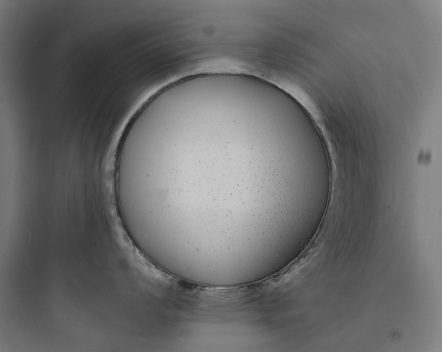 X0000093761008200711061106