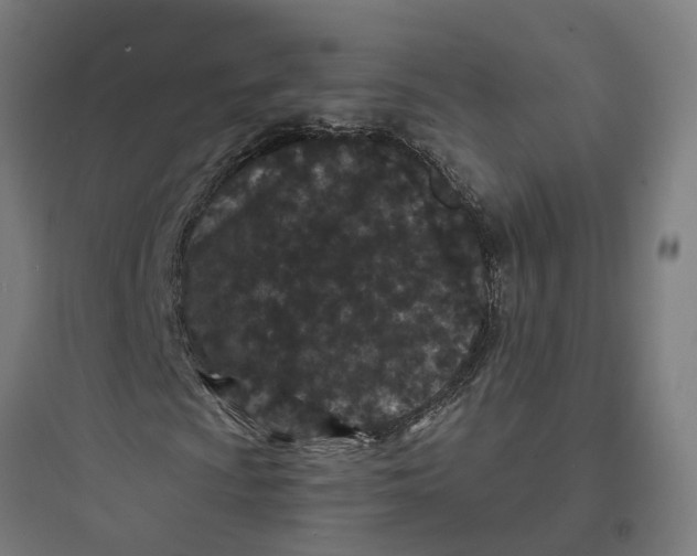 X0000093761009200711061106