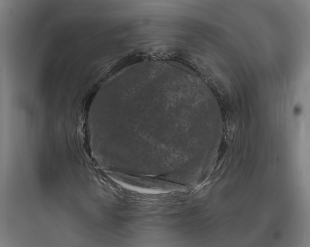 X0000093761010200711061106