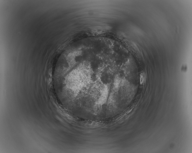 X0000093761011200711061106