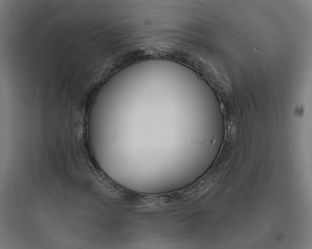 X0000093761012200711061106