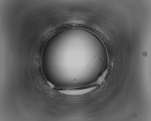 X0000093761014200711061106