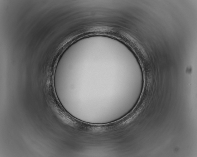 X0000093761017200711061106