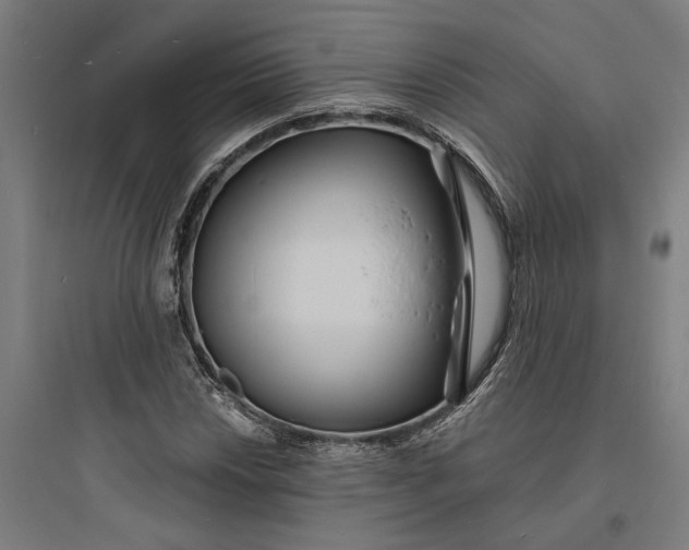 X0000093761018200711061106