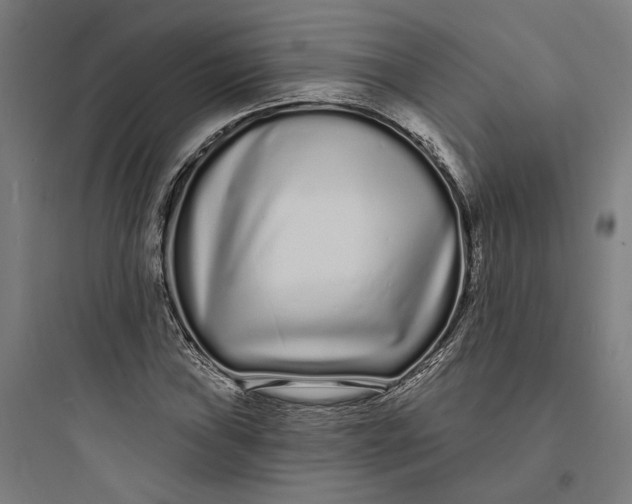 X0000093761019200711061106