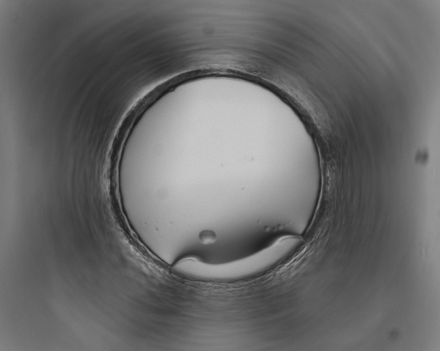 X0000093761020200711061106