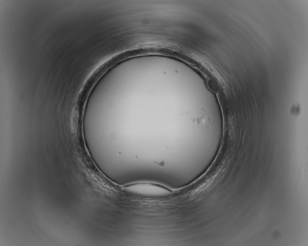 X0000093761021200711061106