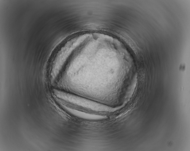 X0000093761023200711061106