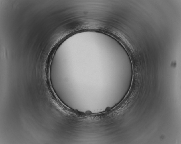 X0000093761026200711061106