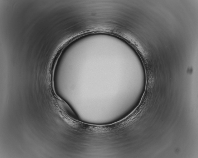 X0000093761027200711061106