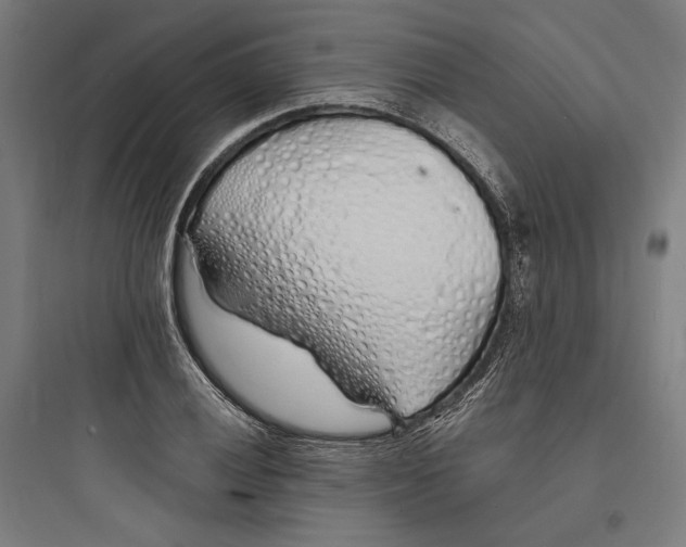 X0000093761028200711061106