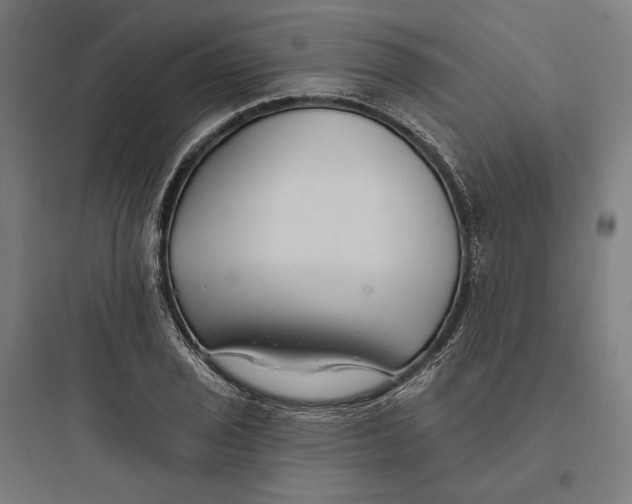 X0000093761029200711061106