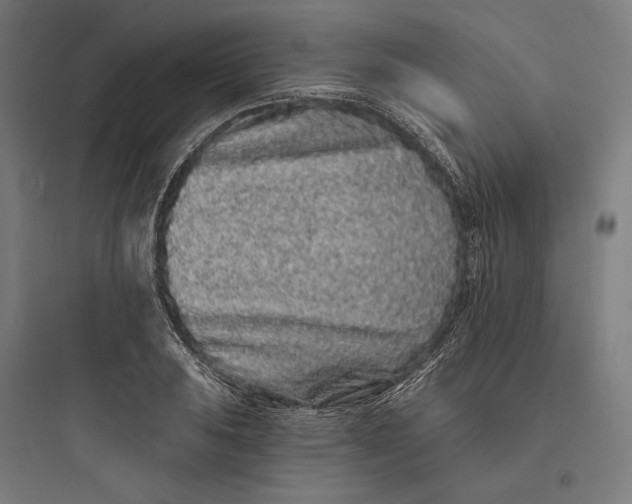 X0000093761031200711061106