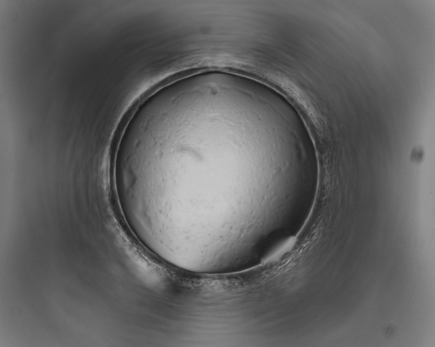 X0000093761032200711061106