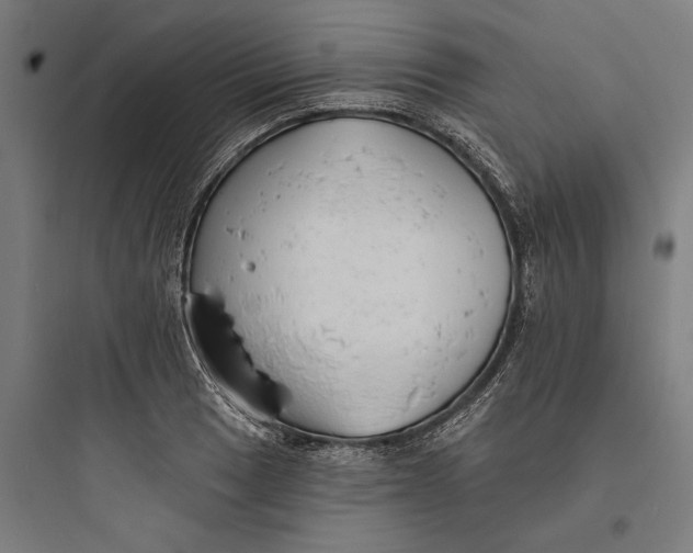 X0000093761033200711061106