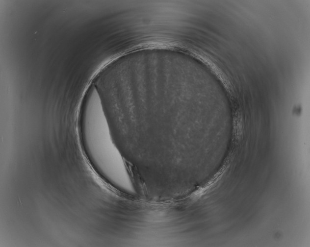 X0000093761034200711061106