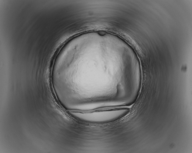 X0000093761035200711061106