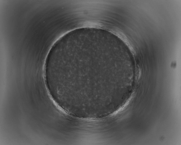 X0000093761037200711061106