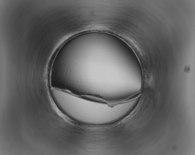 X0000093761038200711061106