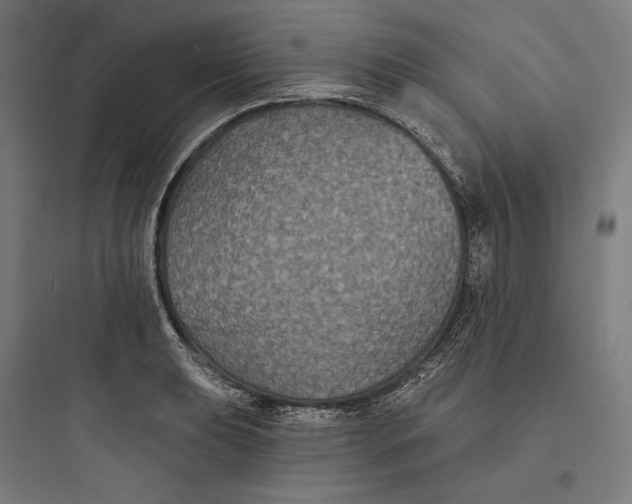 X0000093761039200711061106