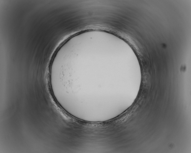 X0000093761040200711061106