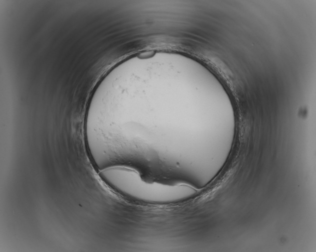 X0000093761041200711061106