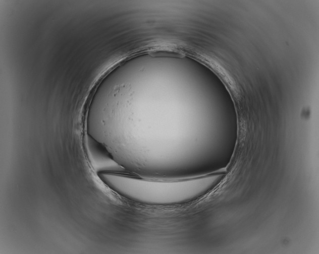 X0000093761042200711061106