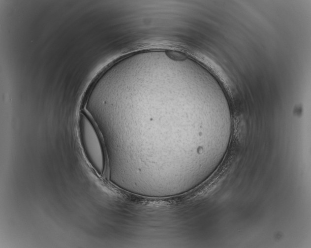 X0000093761043200711061106