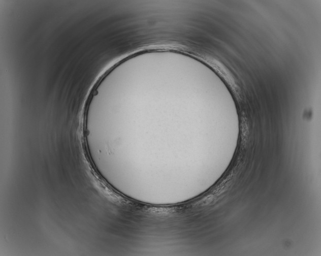 X0000093761044200711061106