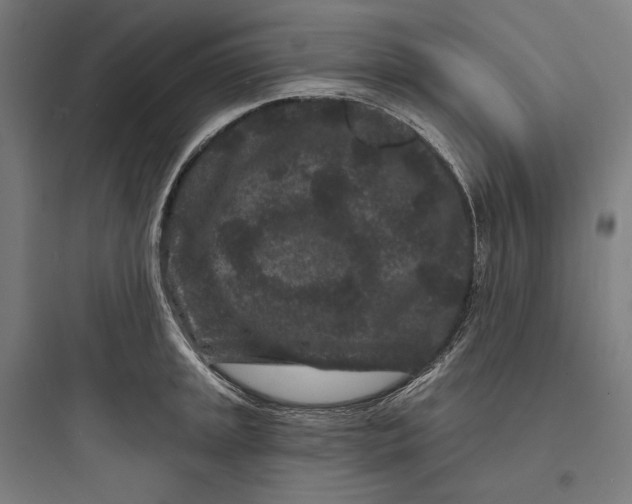 X0000093761045200711061106