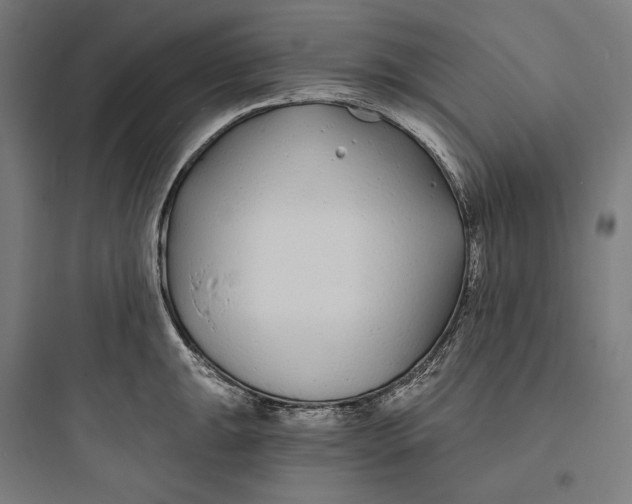 X0000093761047200711061106