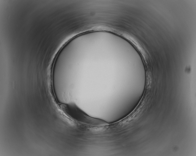 X0000093761048200711061106