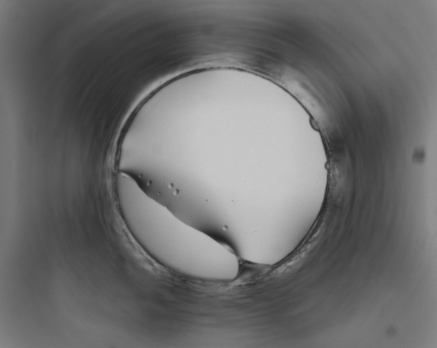 X0000093761052200711061106