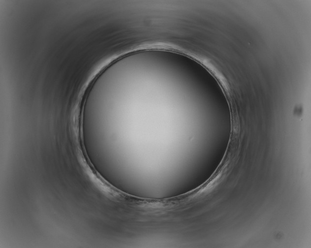 X0000093761054200711061106