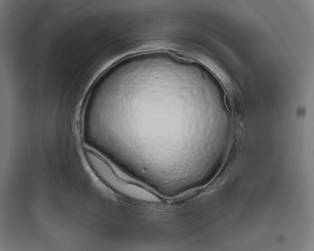 X0000093761055200711061106